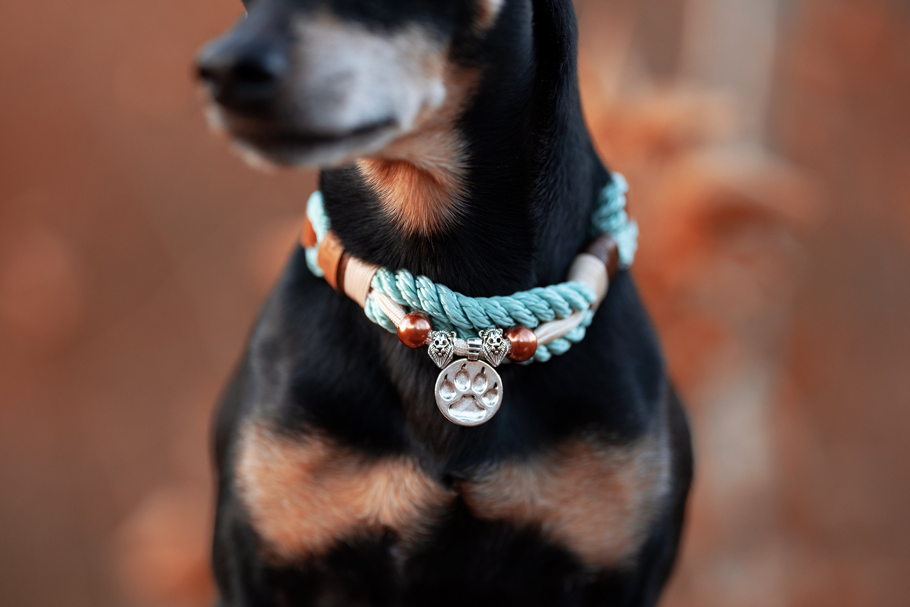 Rope collar with beads Logan XS (20-25cm)