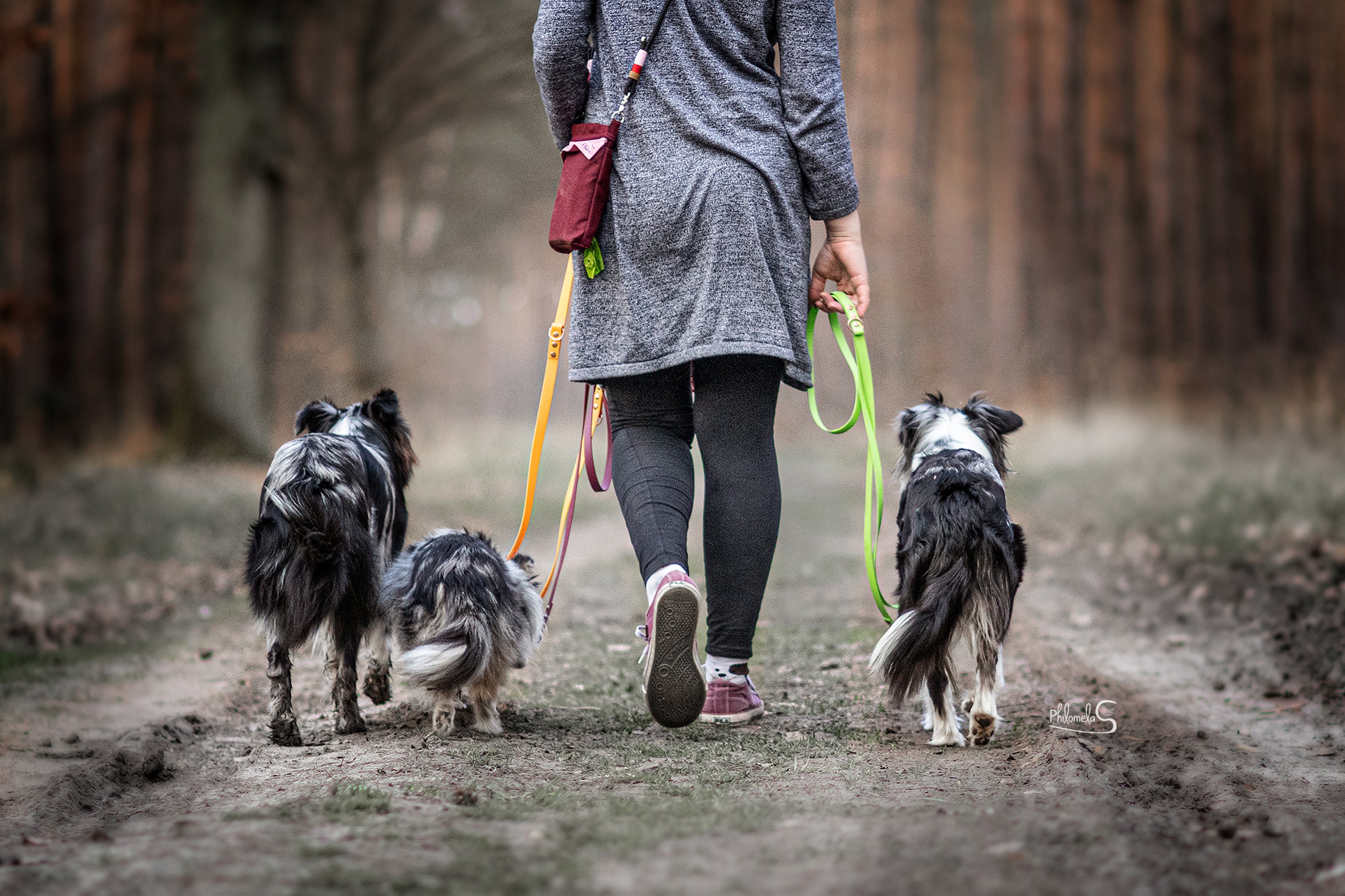 Hundepaket Unterwegs: Biothane Halsband, Biothane Leine, Wau-to-Go + gratis Geschenk