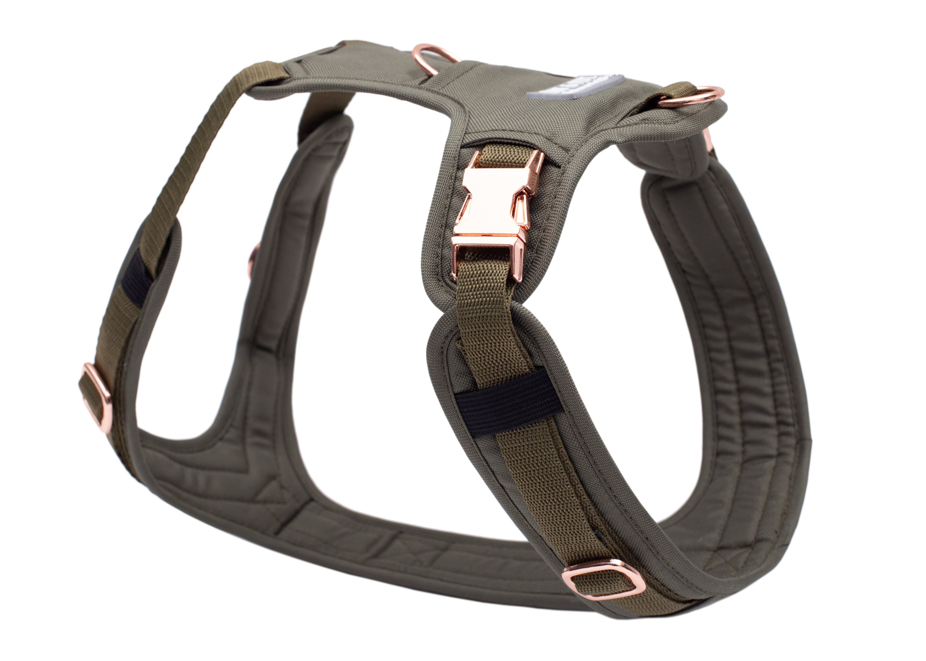 Dog harness Lotte XL