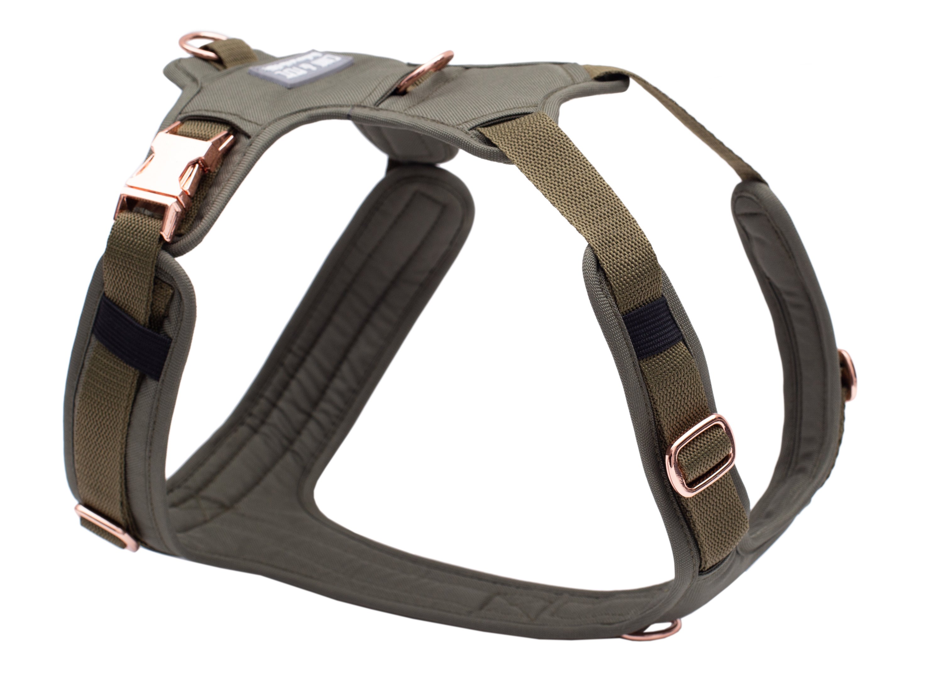 Dog harness Lotte XL