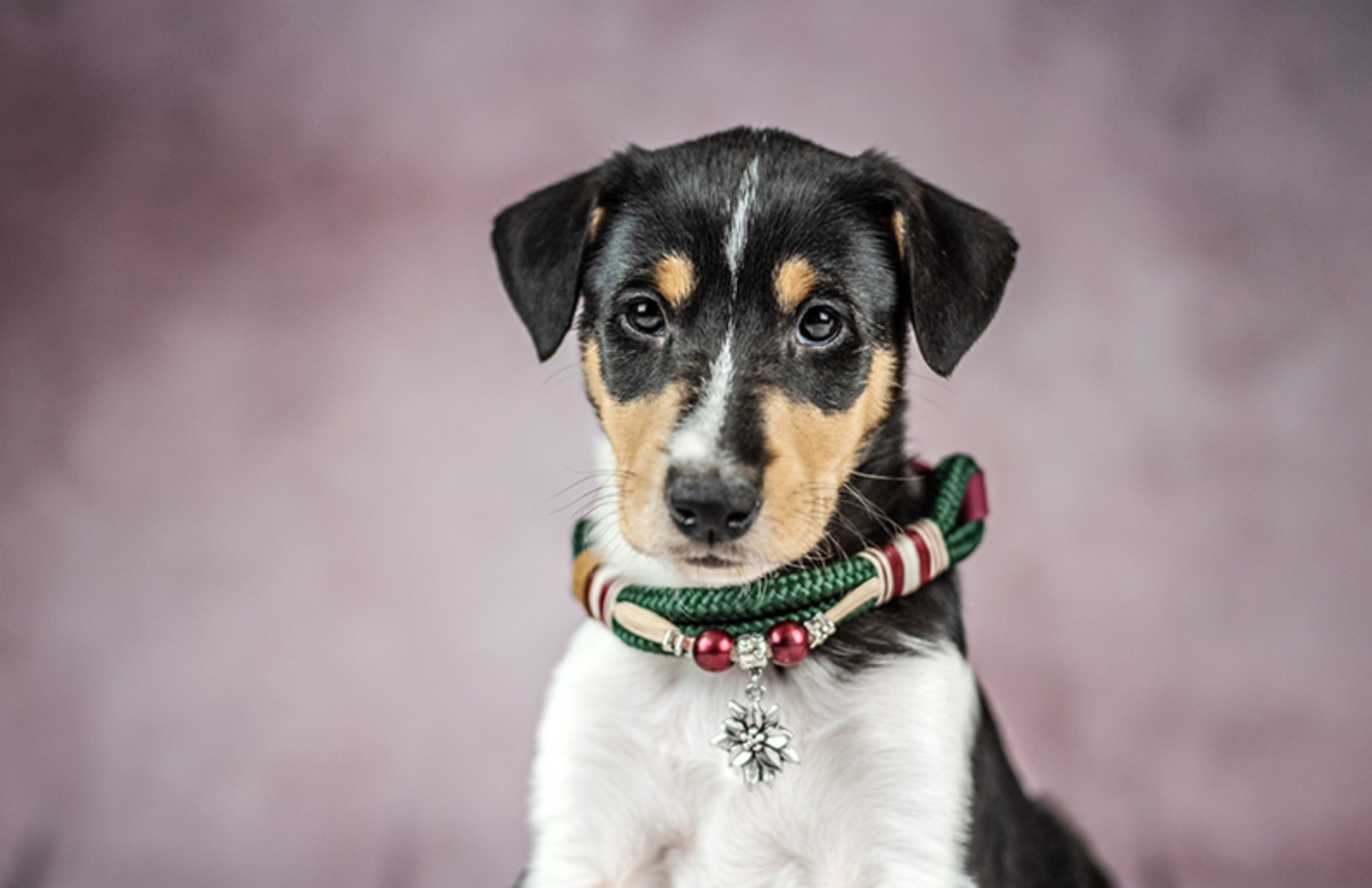 Rope collar with beads Edeltraud XS (20-25cm)