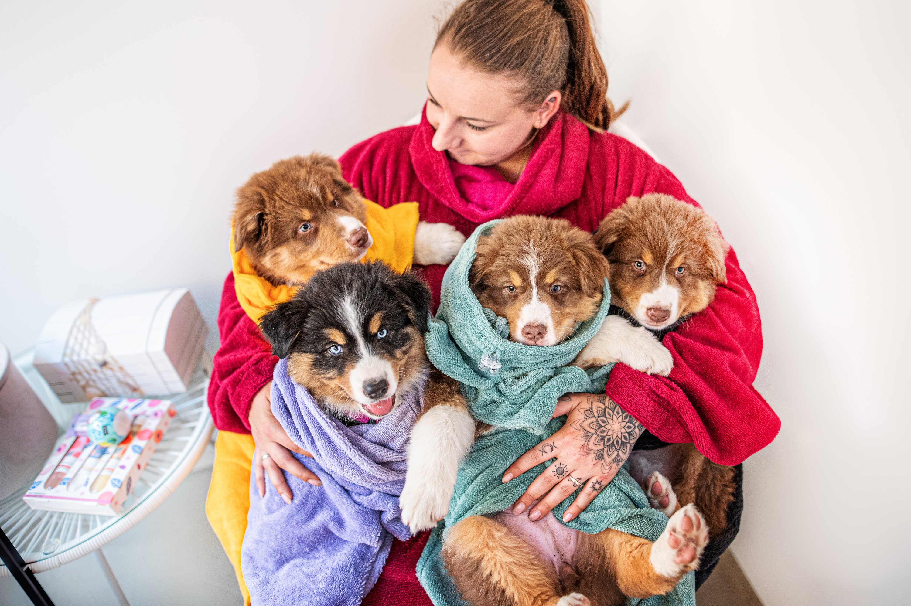 Puppy pack 8: bathrobe, towel, glove, free toy