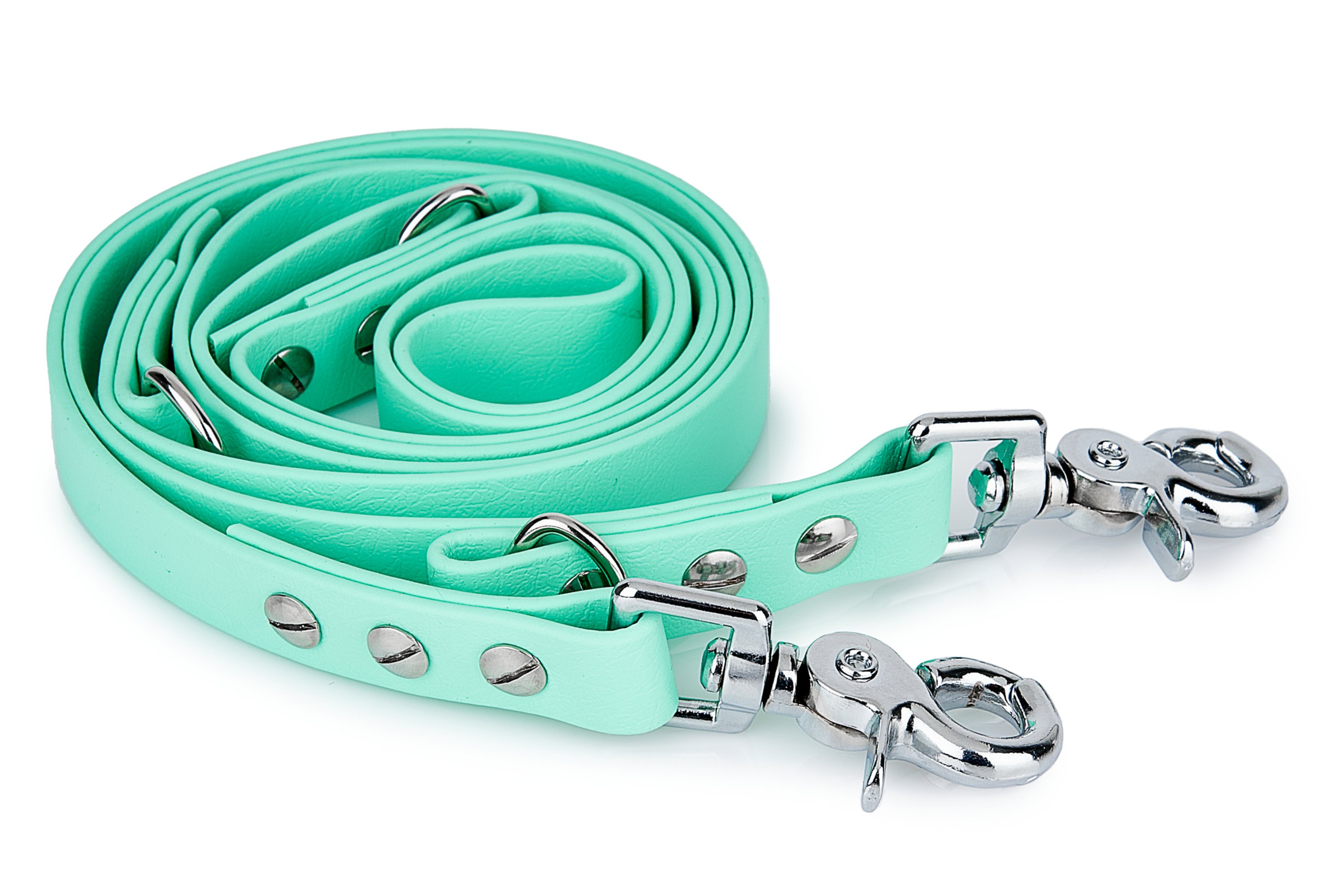 Biothane leash Mint