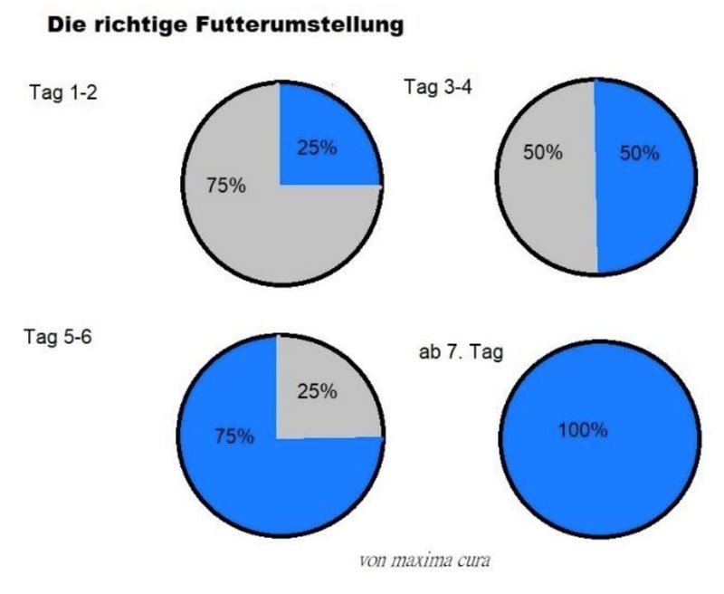 Futterumstellung