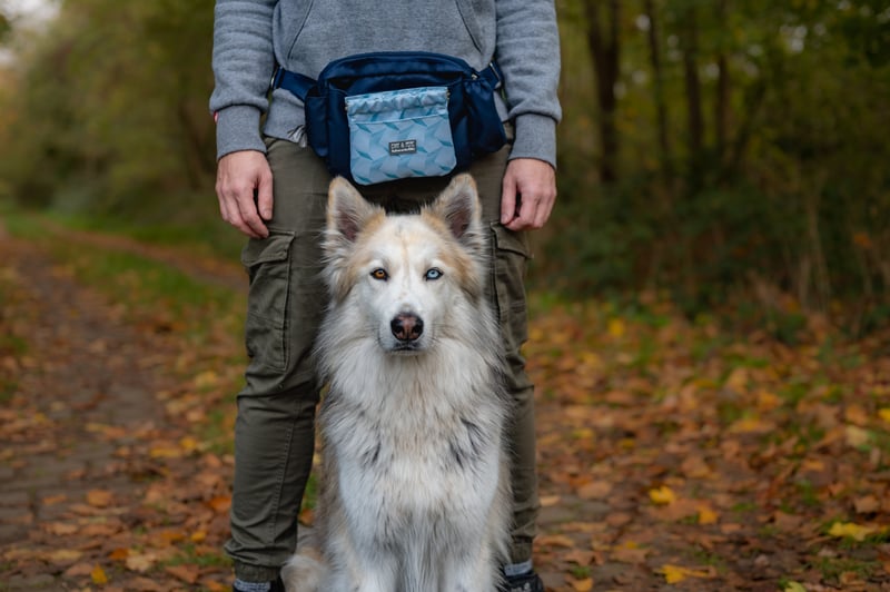 Wie werde ich Pflegestelle