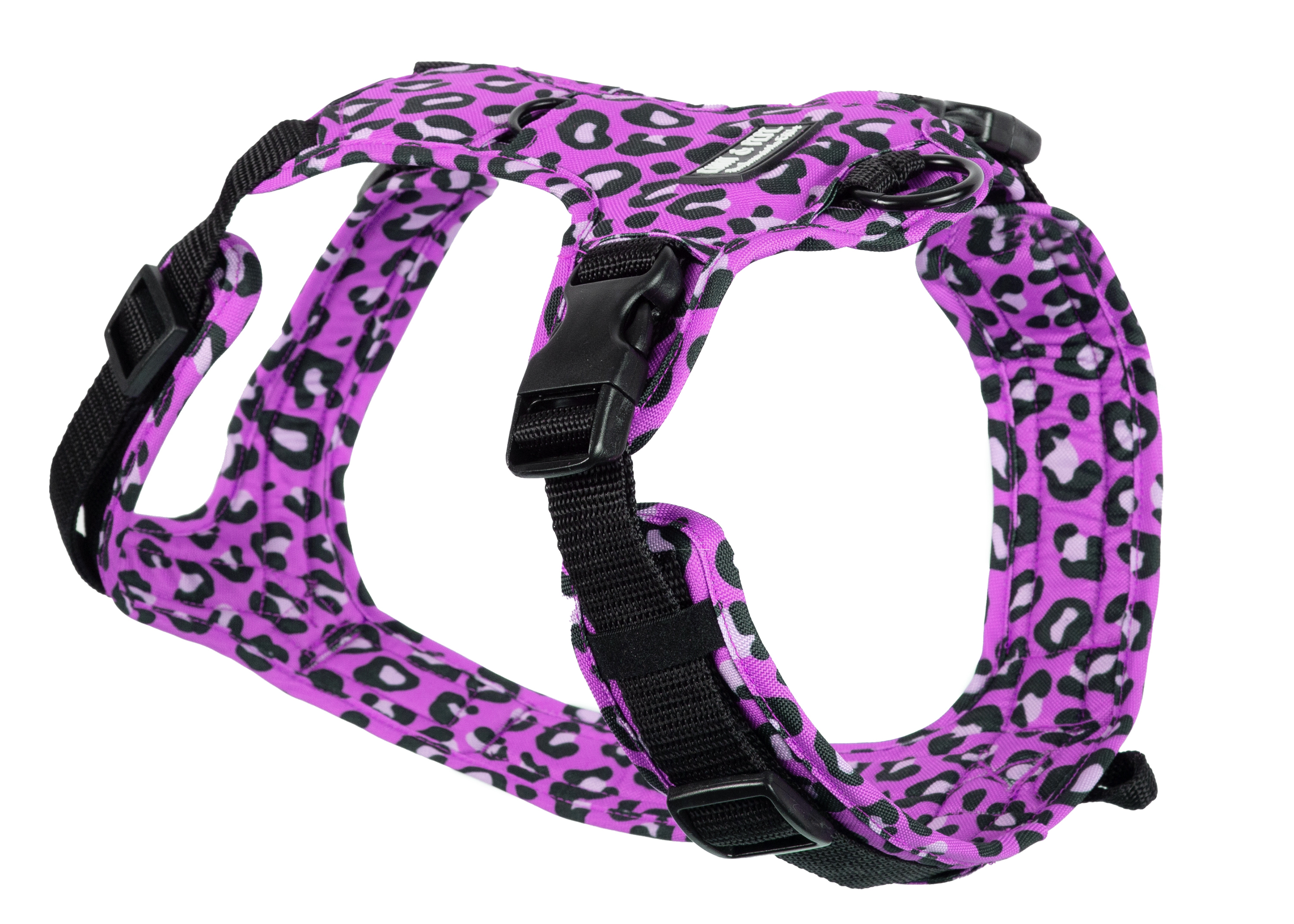 Dog harness Leo Fuchsia 