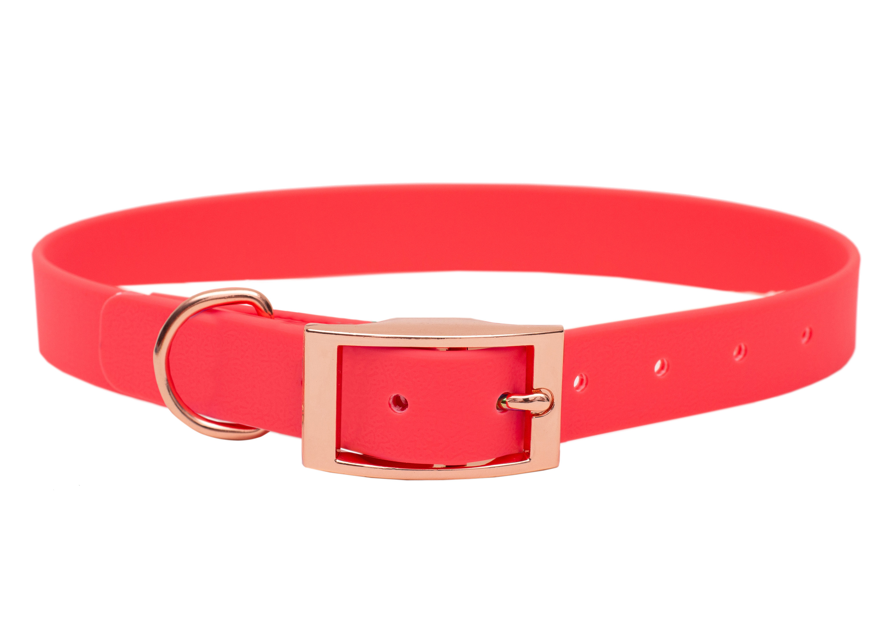 Biothane Halsband Neon Pink M (33-40cm)-gold