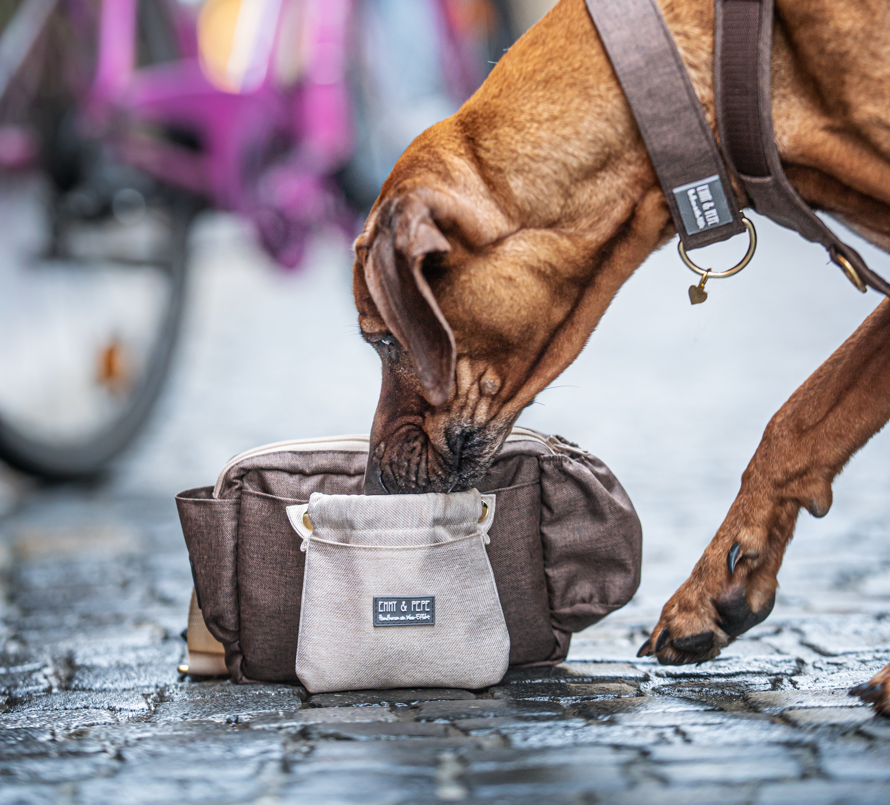 Wau-Pack dog walking bag