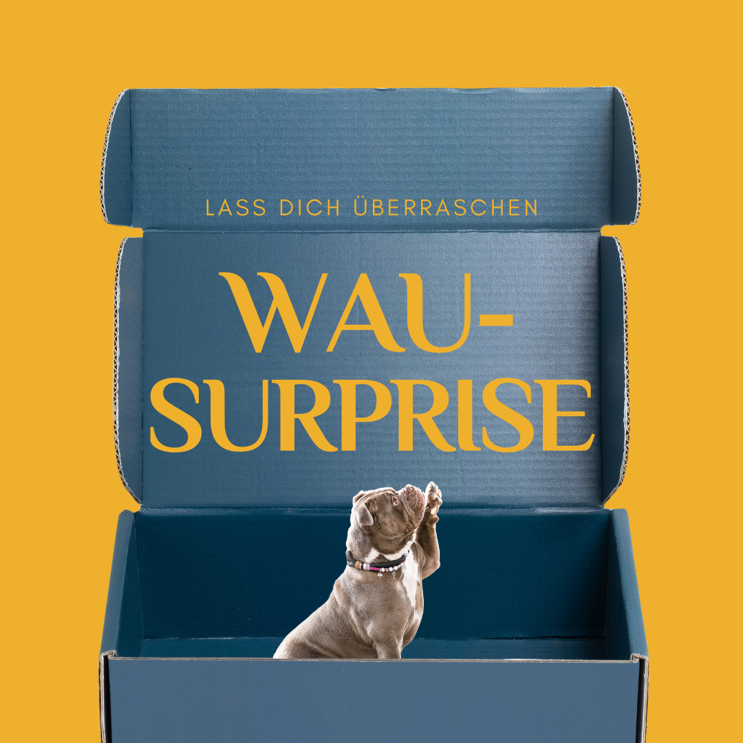 Wau-Surprise Box Halsband