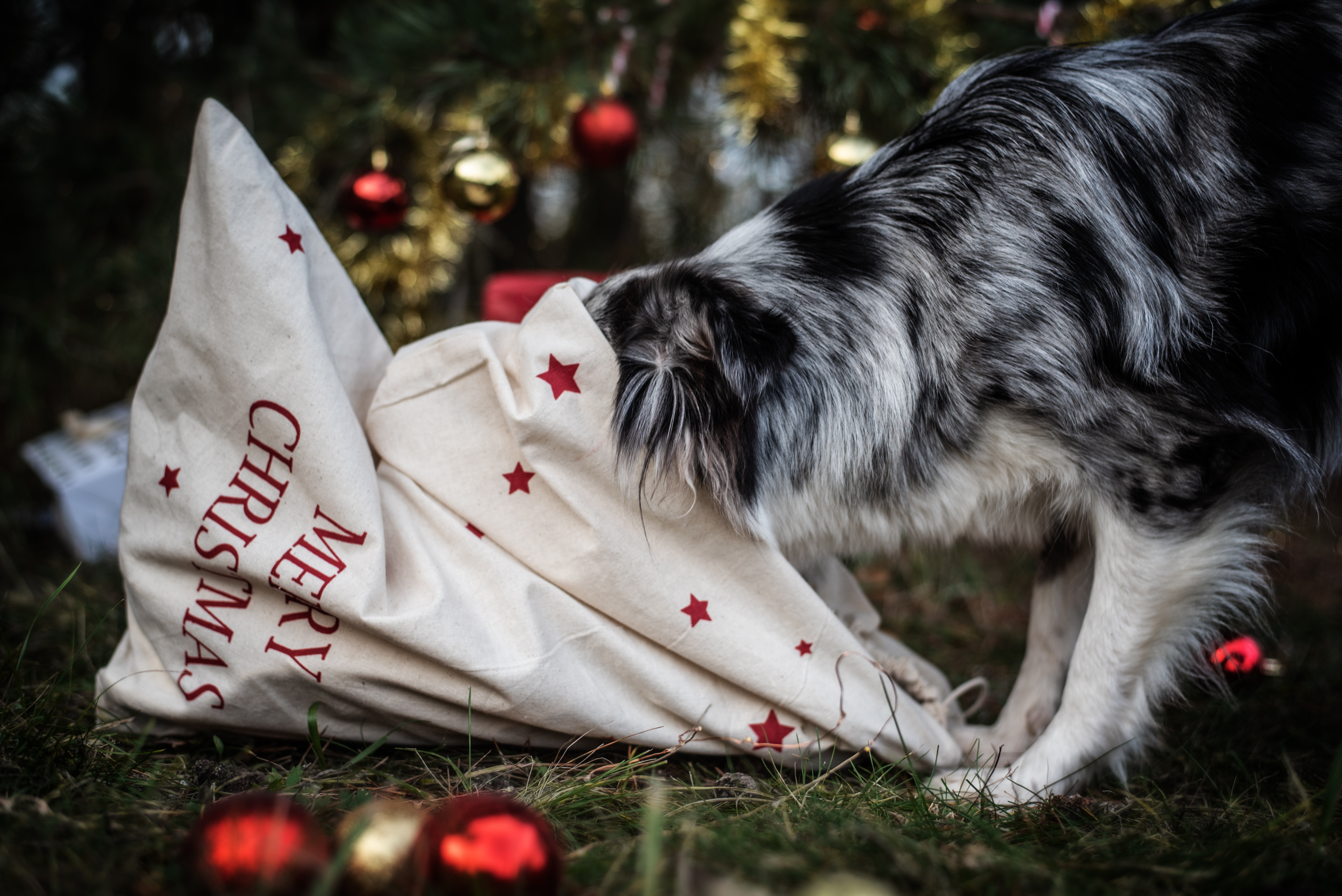 Weihnachtsbox Zuhause