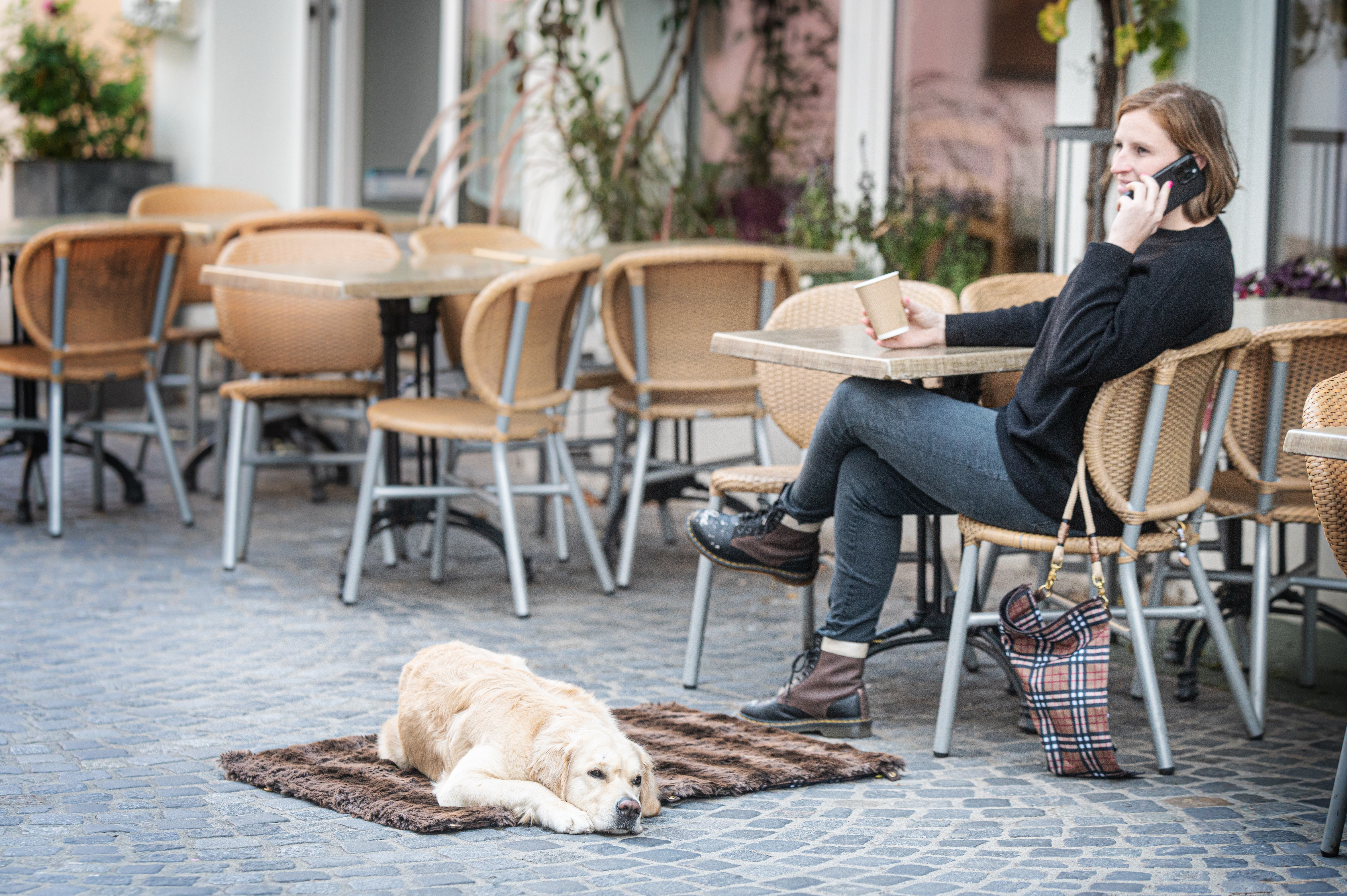 2 in 1 Hundedeckenrucksack