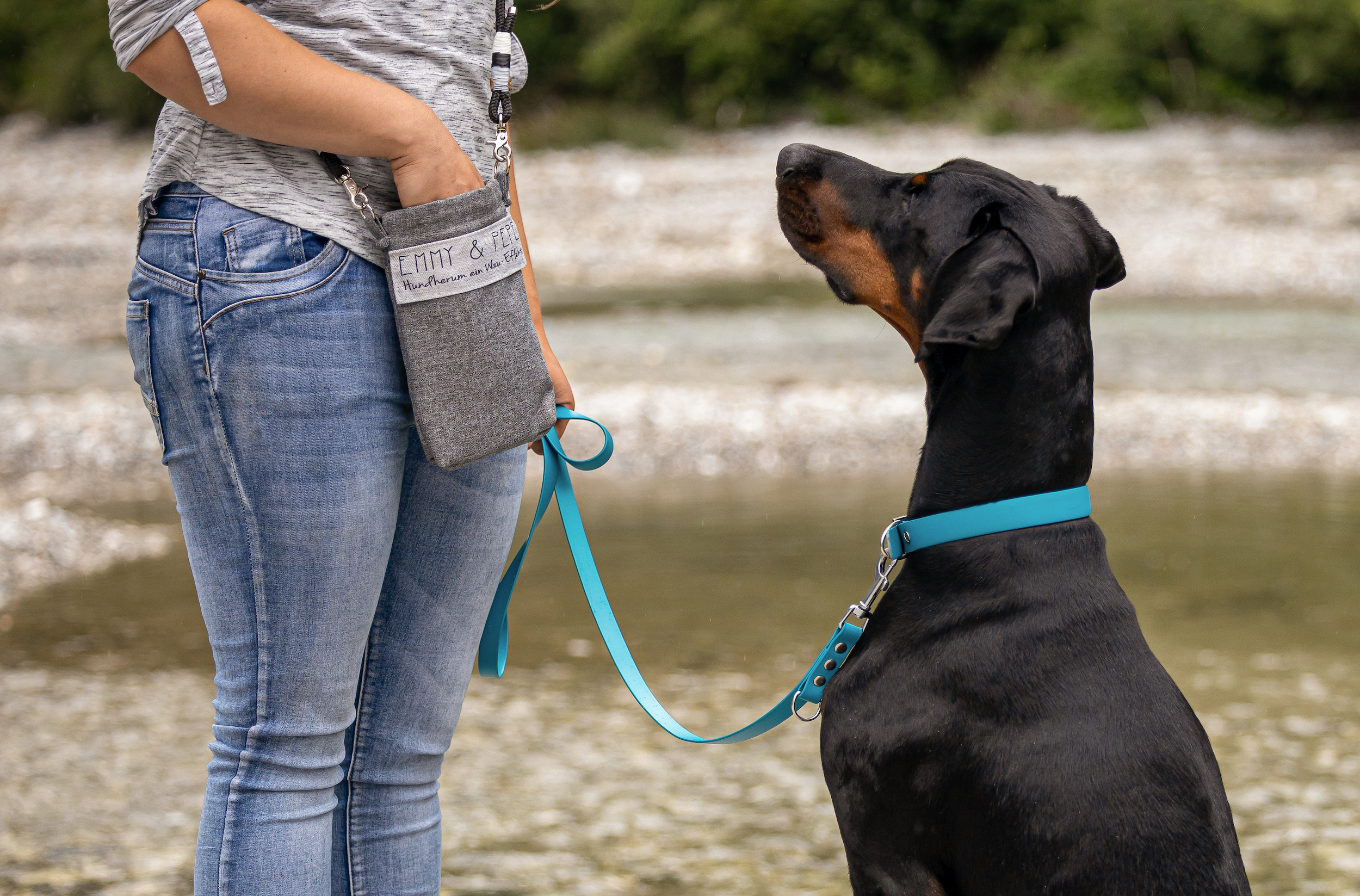 Dobermann mit blauer Leine und Halsband steht vor Frau mit grauer Gassitasche