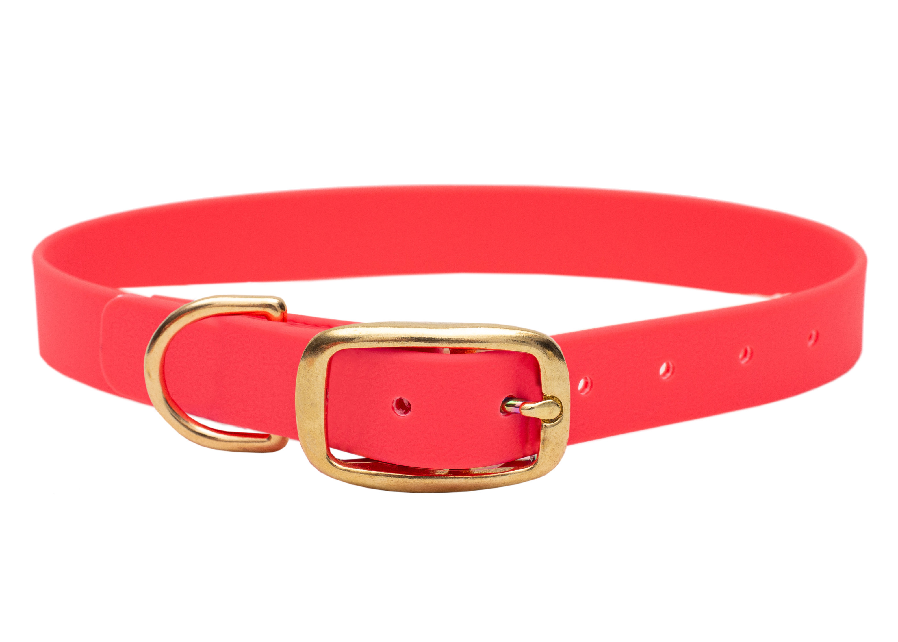 Biothane Halsband Neon Pink M (33-40cm)-gold