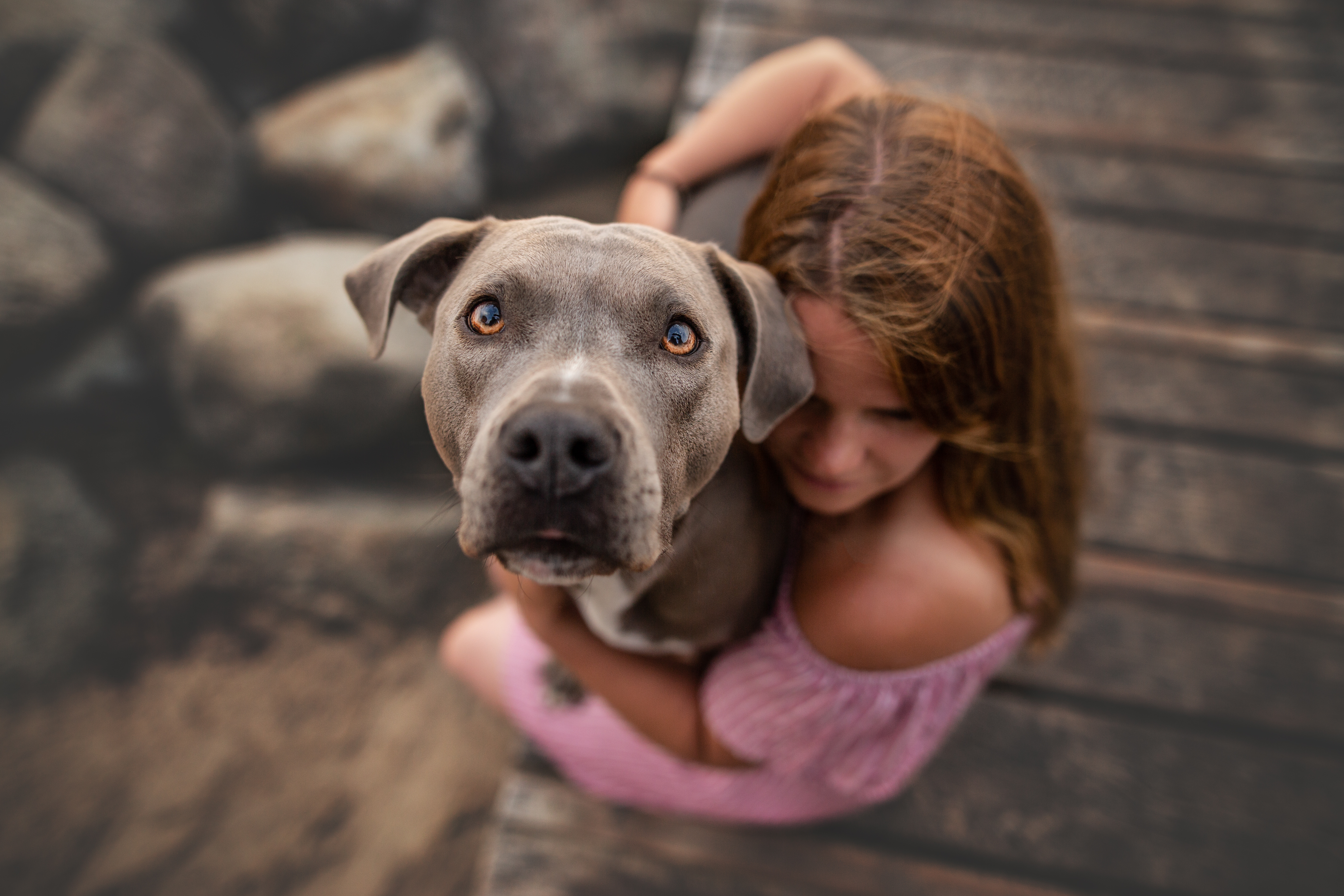 gracies.staffy.moments