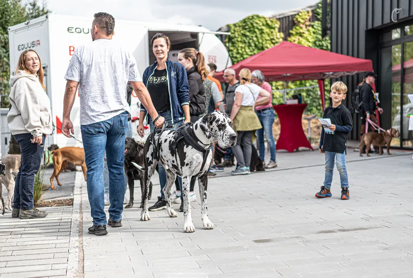 Hundemesse dogshow