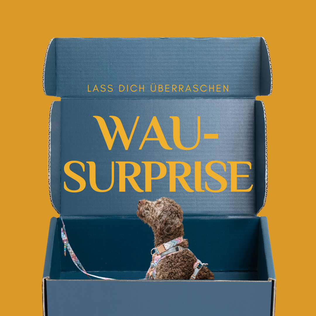 Wau-Surprise Box Leine