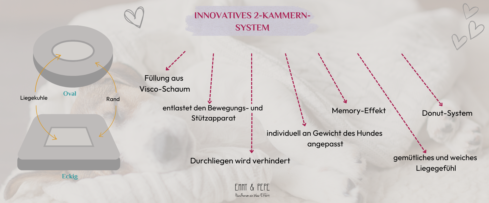 Infografik des Zwei-Kammern-Systems bei orthopaedischen Hundebetten im Querformat