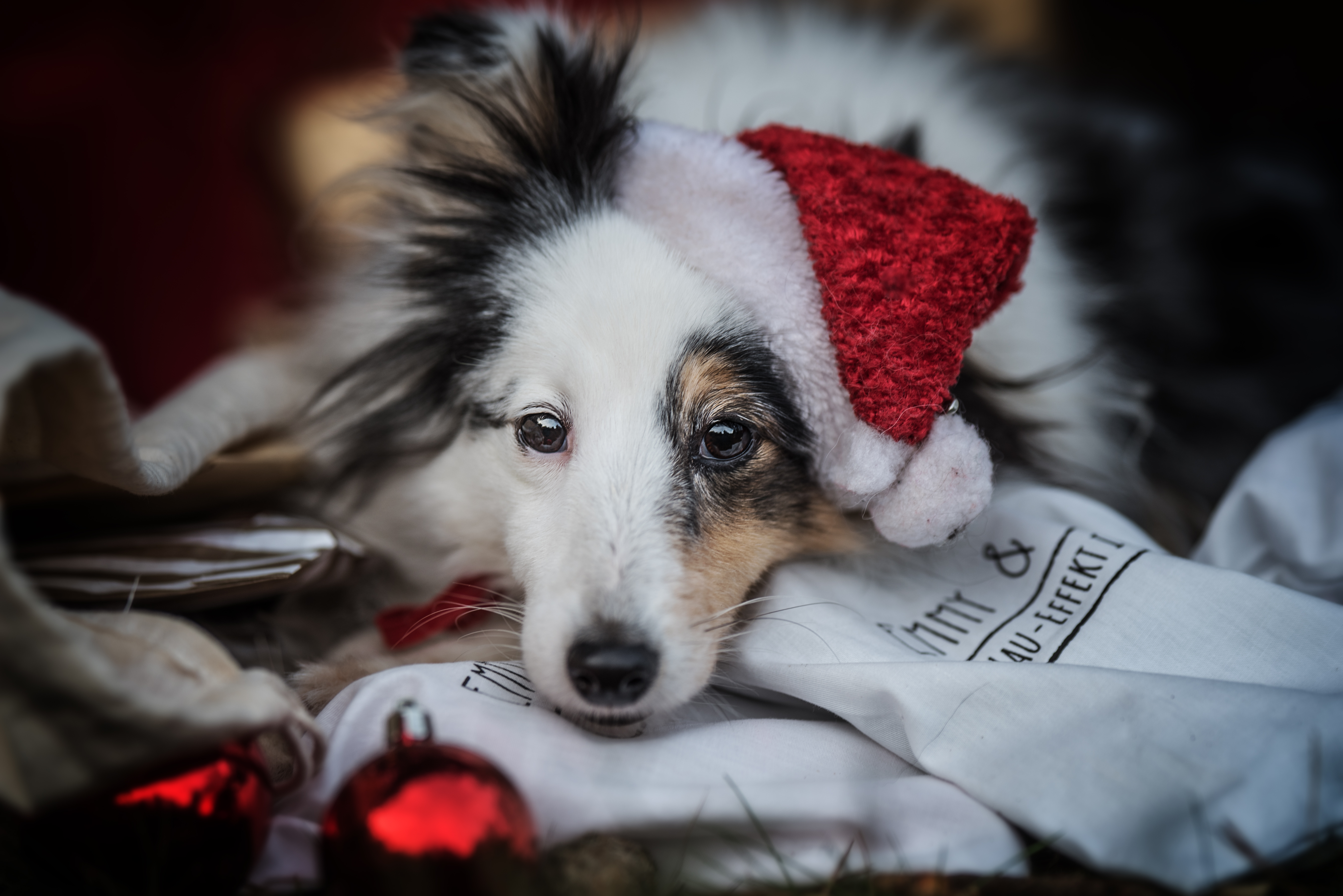 Weihnachtsbox Unterwegs